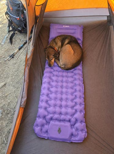 Customer photo: dog asleep on a purple Uskoo AirFlex pad inside a tent